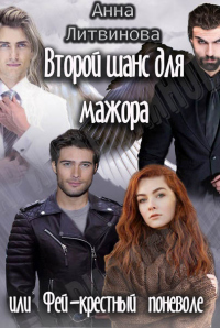 Онлайн книга - Второй шанс для мажора или Фей-крестный поневоле - Анна Литвинова
