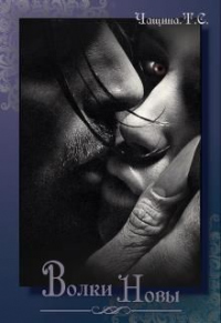 Онлайн книга - Последняя битва - Айя Сафина