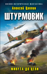 Онлайн книга - Штурмовик. Минута до цели - Алексей Цаплин