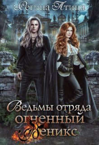Онлайн книга - Ведьмы отряда Огненный Феникс - Регина Птица